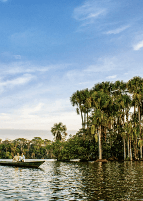 Lac Sandoval, région Madre de Dios © Luis Francisco Gonzales : PROMPERÚ